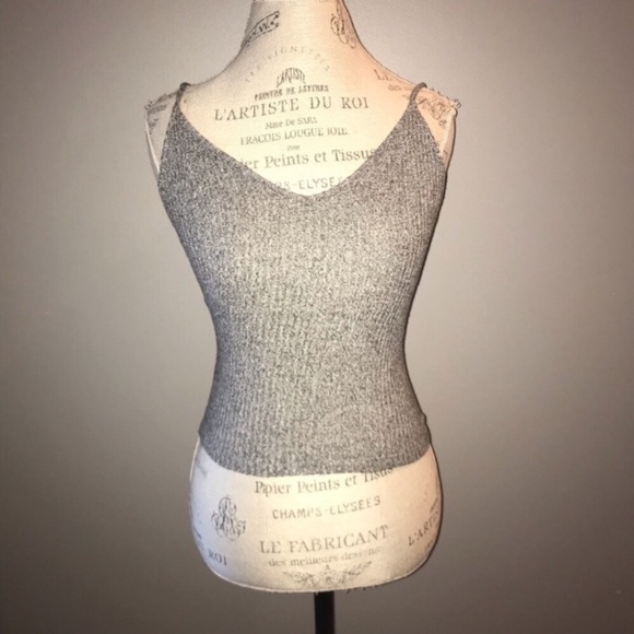 Brandy Melville Tops - Heather Gray Brandy Melville Crop Tank Top